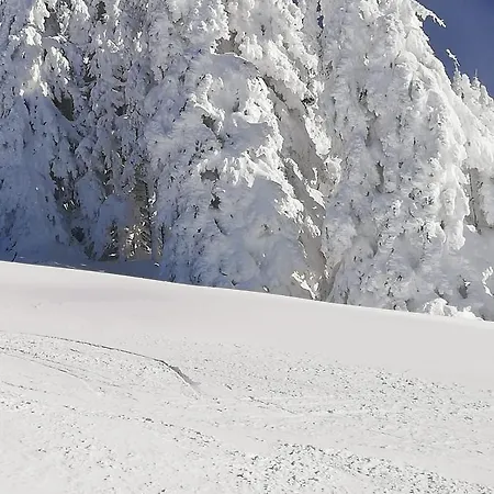 Frühstückspension Brigitte