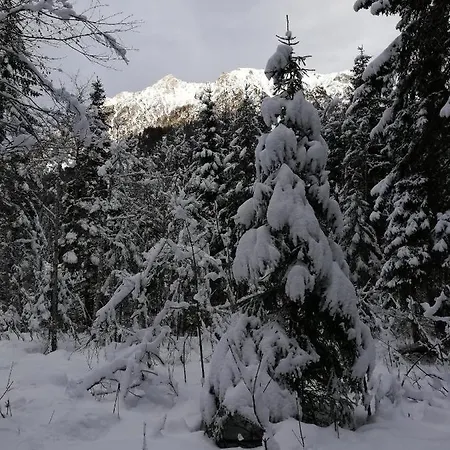 Nocleg ze śniadaniem Brigitte Flachau