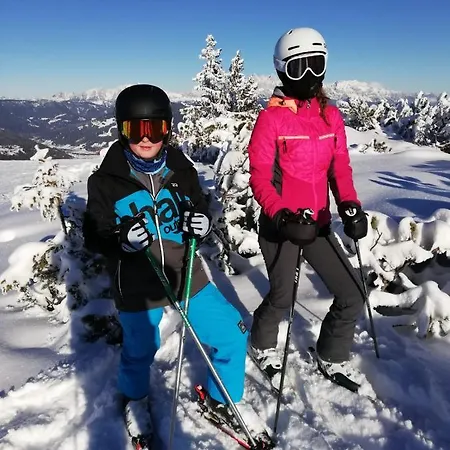 Brigitte Alojamento de Acomodação e Pequeno-almoço Flachau