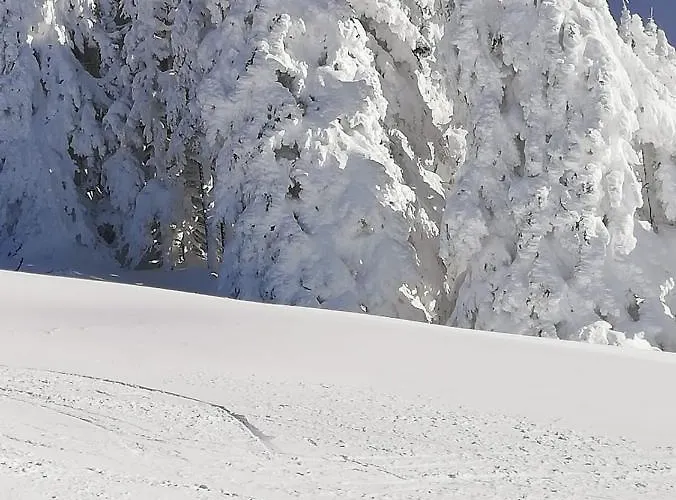 فندق مبيت وإفطار Brigitte