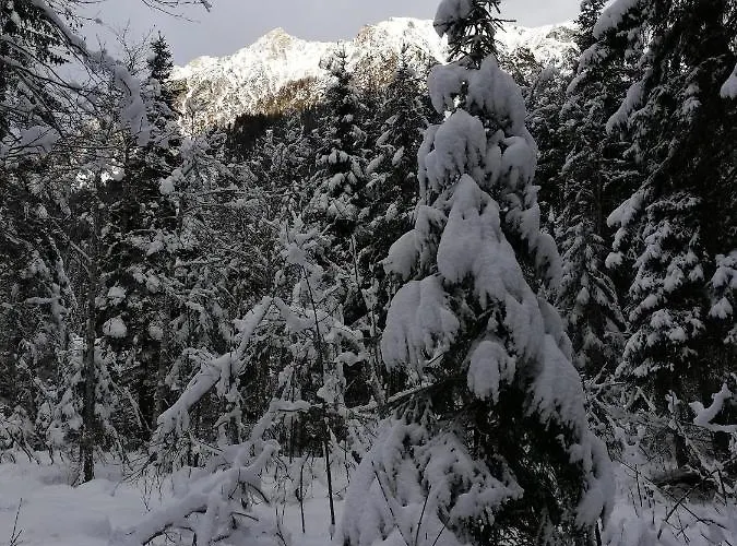 فندق مبيت وإفطار Brigitte فلاخاو