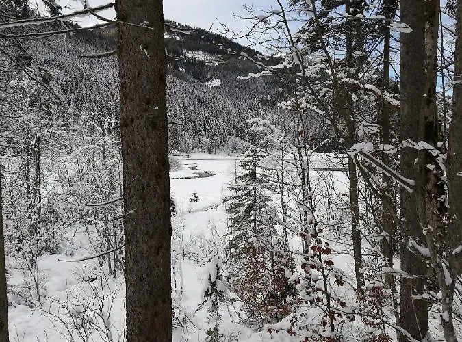 Brigitte Panzió Flachau